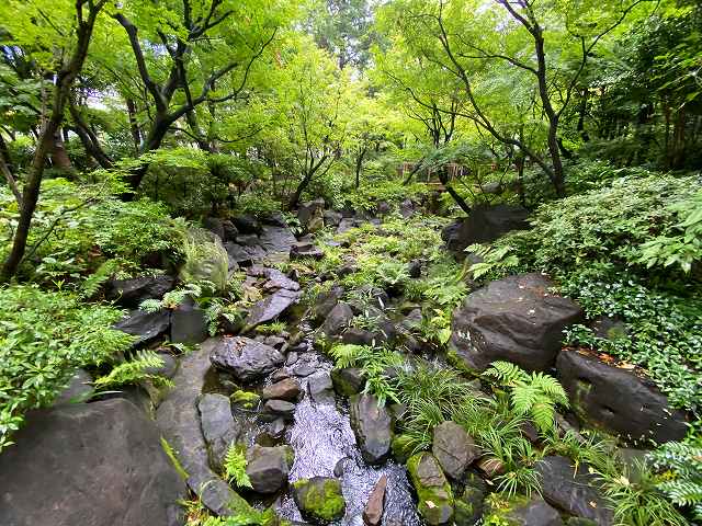 ウエスティン大阪ー中自然の森３
